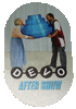 DEVO AfterShow Pass 2010